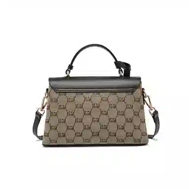 红蜻蜓 经典复古拼接简约高级感 字母小众设计百搭 织物 女包手提斜挎单肩包 春夏季 中号 女款 咖啡色/棕色