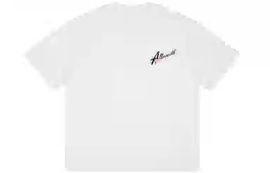 nomt x SRME logooversizeT