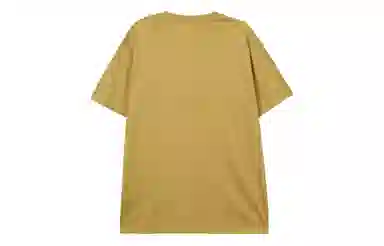 Dickies LogoT