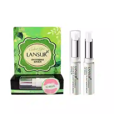LANSUR 2.4g*2