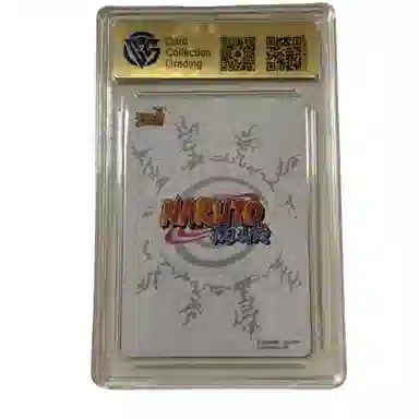 CCG9.5 2021 NR-CR-004