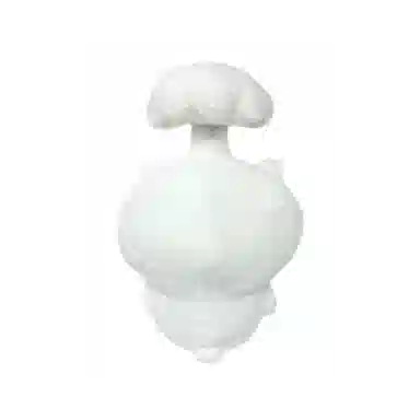 chiikawa BIG