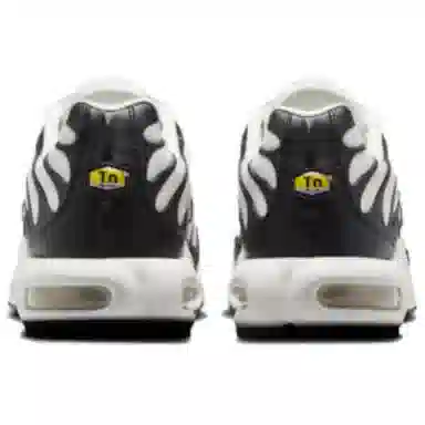 Nike Air Max Plus