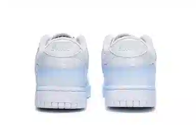 Nike Dunk SE 811