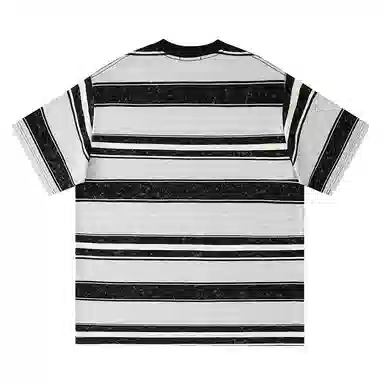 HIPANDA T