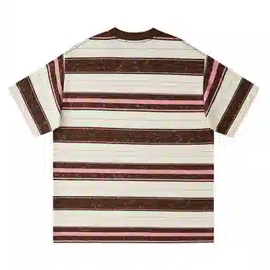 HIPANDA T