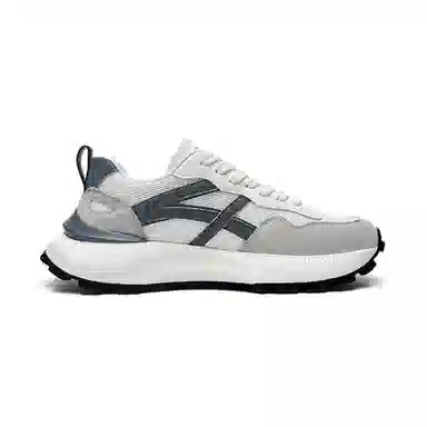 红蜻蜓 织物 网面透气防滑厚底阿甘鞋 复古国潮百搭休闲 增高平衡耐磨轻便 低帮 休闲鞋 男款