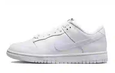 Nike Dunk SE 811