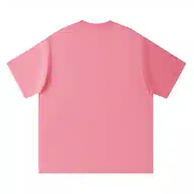 HIPANDA T