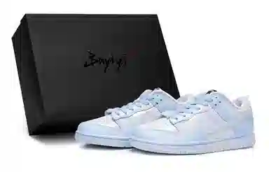 Nike Dunk SE 811