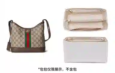 Gucci Ophidia Hobo