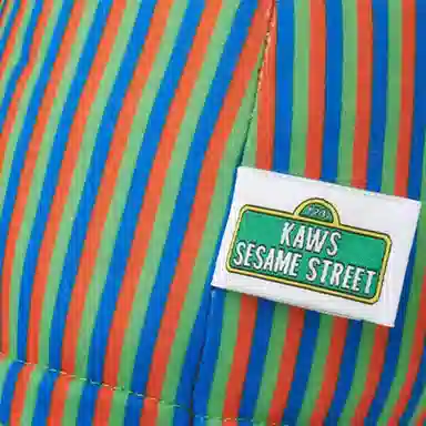 UNIQLO x SESAME STREET x KAWS Bert