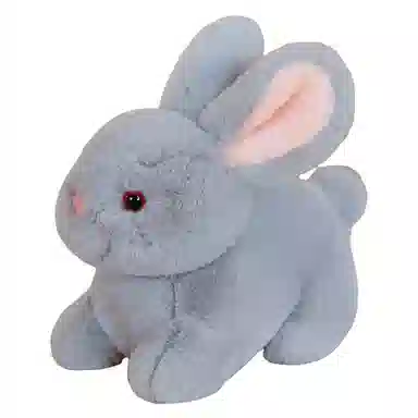 ZHUOQU 15cm20cm30cm