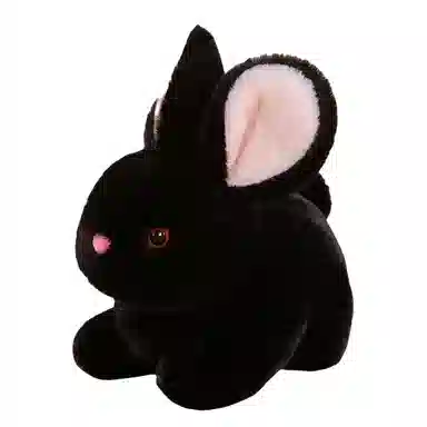 ZHUOQU 15cm20cm30cm