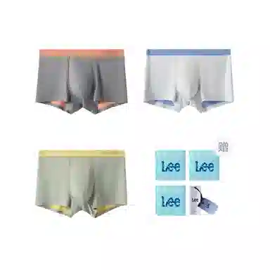 Lee 3
