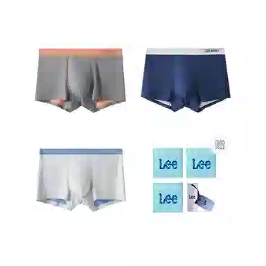 Lee 3