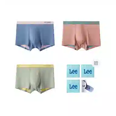 Lee 3