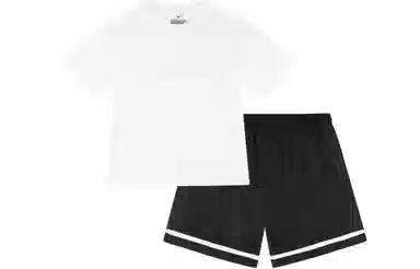 VEIDOORN T