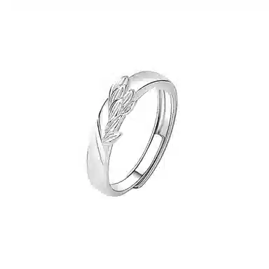 CENTURYKINDLE ck ins S925