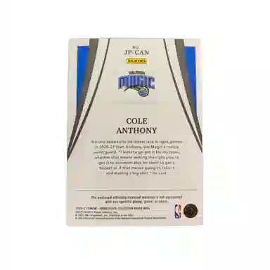 PANINI 2020-21 IMM patch4050