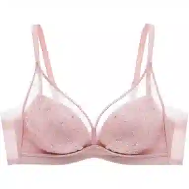 曼妮芬 植物花卉网纱小胸聚拢舒适收副乳文胸 女款