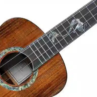 AKAMA (KOA) L.R.BAGGS 26