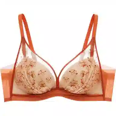 曼妮芬 植物花卉网纱小胸聚拢舒适收副乳文胸 女款