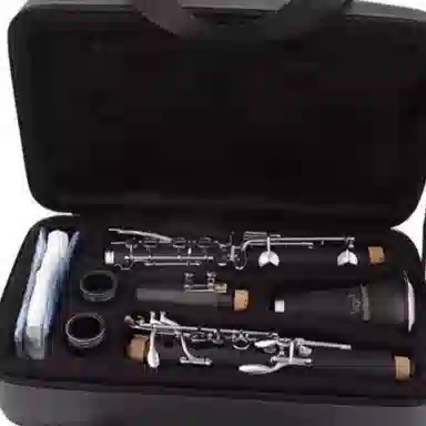 Bull Fighter() B DHG-100 ABS