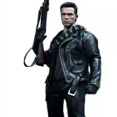 Hot Toys T800 Arnold Schwarzenegger DX10