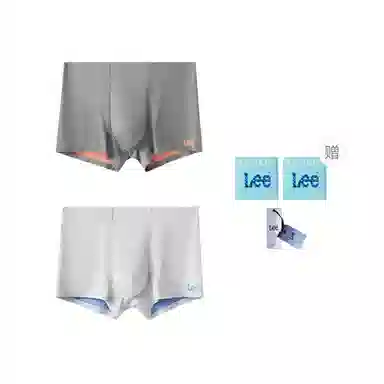 Lee 2