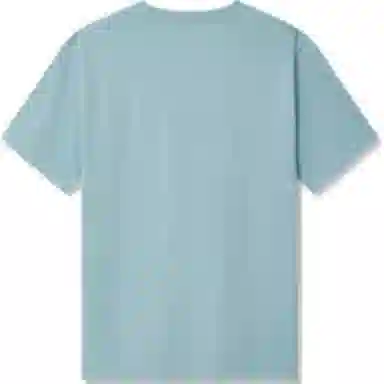 levis T