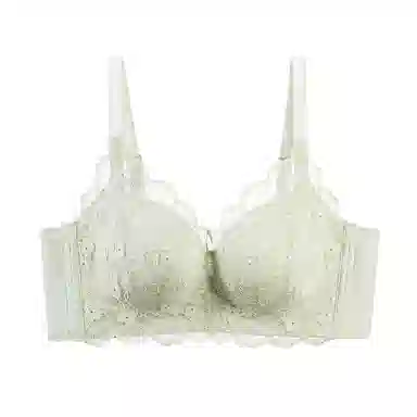 都市丽人 花卉手掌杯小胸聚拢显大舒适软支撑立体提拉性感蕾丝文胸 女款