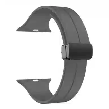 ZS Watch Band