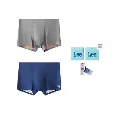 Lee 2