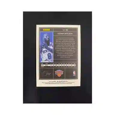 PANINI 2021-22 One And One 99