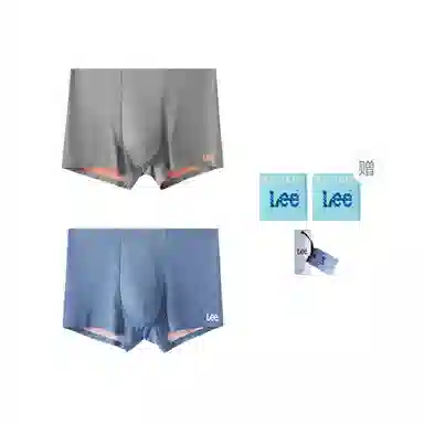 Lee 2