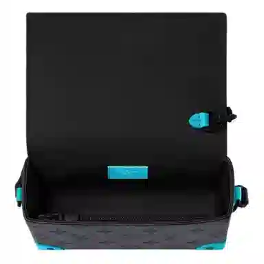 Louis Vuitton Steamer WW