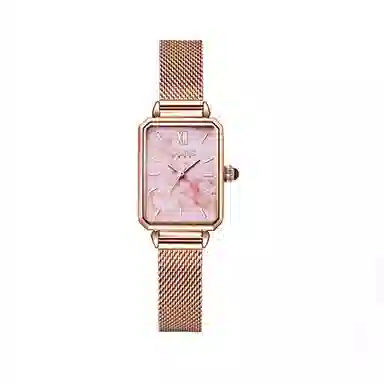 JULIUS JL JW1-267A
