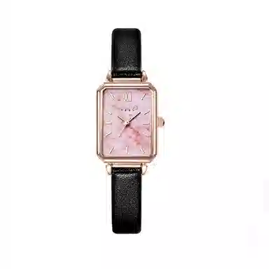 JULIUS JL ins JW1-255A