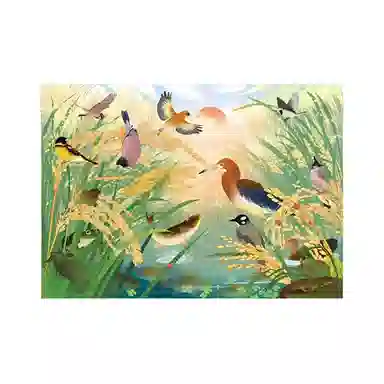 1000 164508272759971