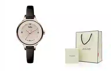 JULIUS JL ins JW8-33E