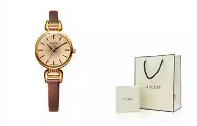 JULIUS JL JW9-25E