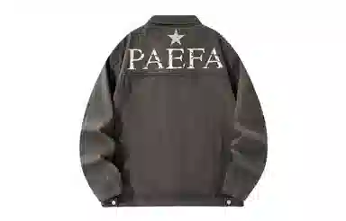 PAEFA Logo