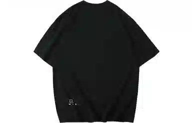 VEIDOORN x POKEMON T