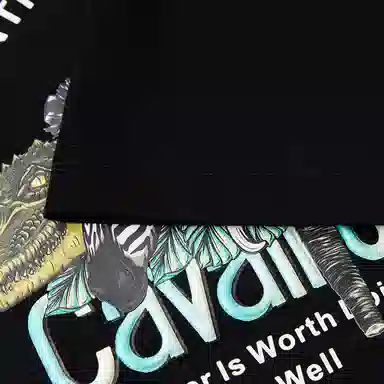 Cavalli Class T