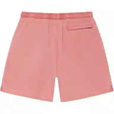 Stussy SS24 WATER SHORT PIGMENT STOCK Logo