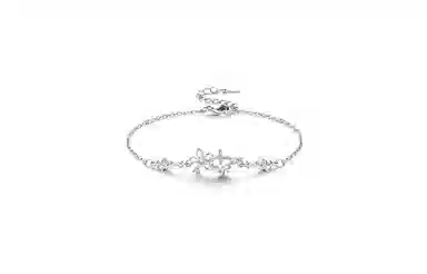 RboySe RHSW0098