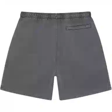 Stussy SS24 WATER SHORT PIGMENT STOCK Logo