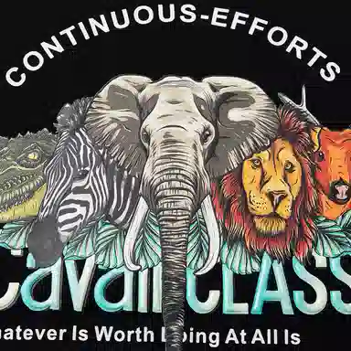 Cavalli Class T