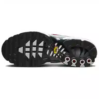 Nike Air Max Plus Grey Red